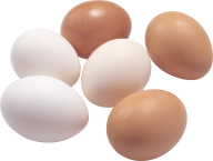 egg png free download 28