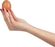 egg png free download 33