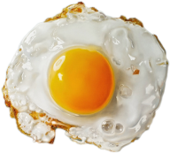 egg png free download 36