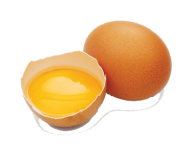 egg png free download 37