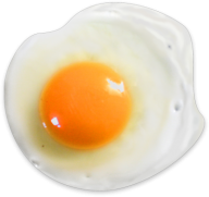 egg png free download 39