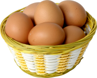egg png free download 45
