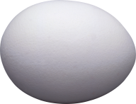 egg png free download 8