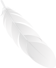 Feather Black icon png image