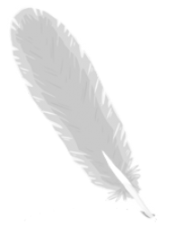 Feather Logo Png Image Download