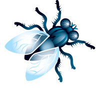 Fly Free PNG Image Download 13