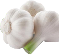 Garlic Free PNG Image Download 25