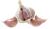 Garlic Free PNG Image Download 28