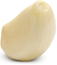 Garlic Free PNG Image Download 30