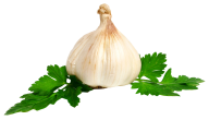Garlic Free PNG Image Download 31