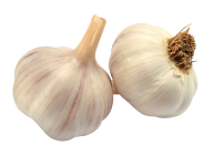 Garlic Free PNG Image Download 32