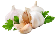 Garlic Free PNG Image Download 35