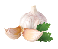 Garlic Free PNG Image Download 36
