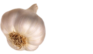 Garlic Free PNG Image Download 37