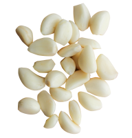 Garlic Free PNG Image Download 43