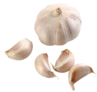 Garlic Free PNG Image Download 5