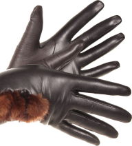 Gloves Free PNG Image Download 49