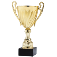 Golden Prize Cup Image