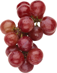 Grape Free PNG Image Download 14