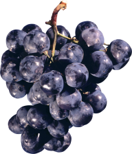 Grape Free PNG Image Download 2