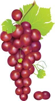 Grape Free PNG Image Download 21