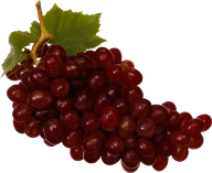 Grape Free PNG Image Download 26
