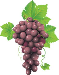 Grape Free PNG Image Download 33