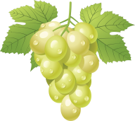 Grape Free PNG Image Download 39