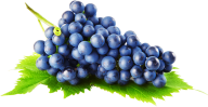 Grape Free PNG Image Download 41