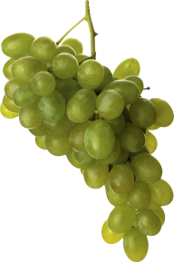 Grape Free PNG Image Download 42