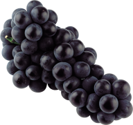 Grape Free PNG Image Download 5