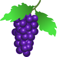 Grape Free PNG Image Download 55