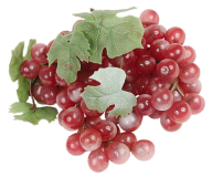 Grape Free PNG Image Download 56