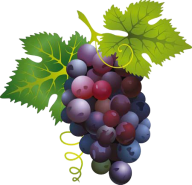 Grape Free PNG Image Download 58