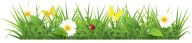 Grass Free PNG Image Download 17