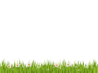 Grass Free PNG Image Download 20
