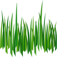 Grass Free PNG Image Download 33