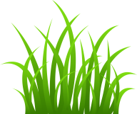 Grass Free PNG Image Download 37