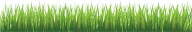 Grass Free PNG Image Download 4