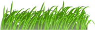 Grass Free PNG Image Download 41