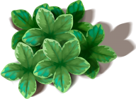 Green Leaves Free PNG Image Download 64
