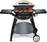 grill png icon image free download
