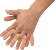 Hands PNG Free Image Download 104