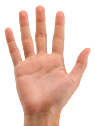 Hands PNG Free Image Download 52
