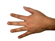 Hands PNG Free Image Download 54