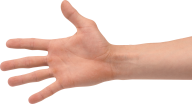 Hands PNG Free Image Download 76