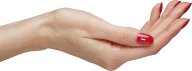 Hands PNG Free Image Download 81