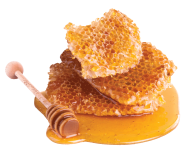Honey PNG Free Image Download 2