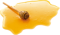 Honey PNG Free Image Download 27