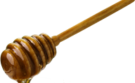 Honey PNG Free Image Download 35